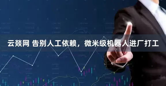 云燚网 告别人工依赖，微米级机器人进厂打工