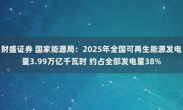 财盛证券 国家能源局：2025年全国可再生能源发电量3.99万亿千瓦时 约占全部发电量38%